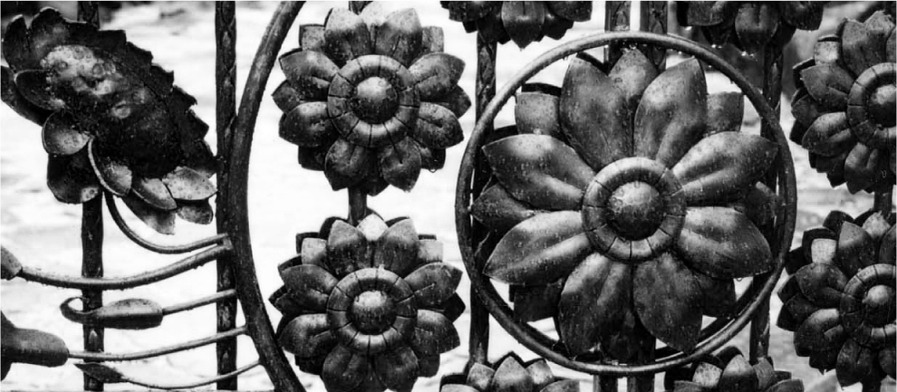 ロートアイアンのナルディックを象徴する鉄門扉の写真です